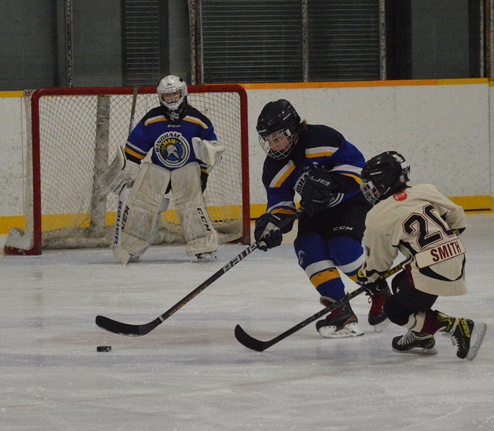 Blyth Brussels Crusaders win regional Silver Stick tournament in Wingham