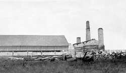 The Blyth brick and tile yards produced building materials last century.