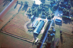 The Blyth Co-operative Cheese Factory can be seen on the right side of Dinsley St. On the left of the picture is the G.L. Hubbard Ruttabaga factory.